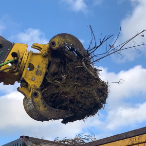 Tree Shredding